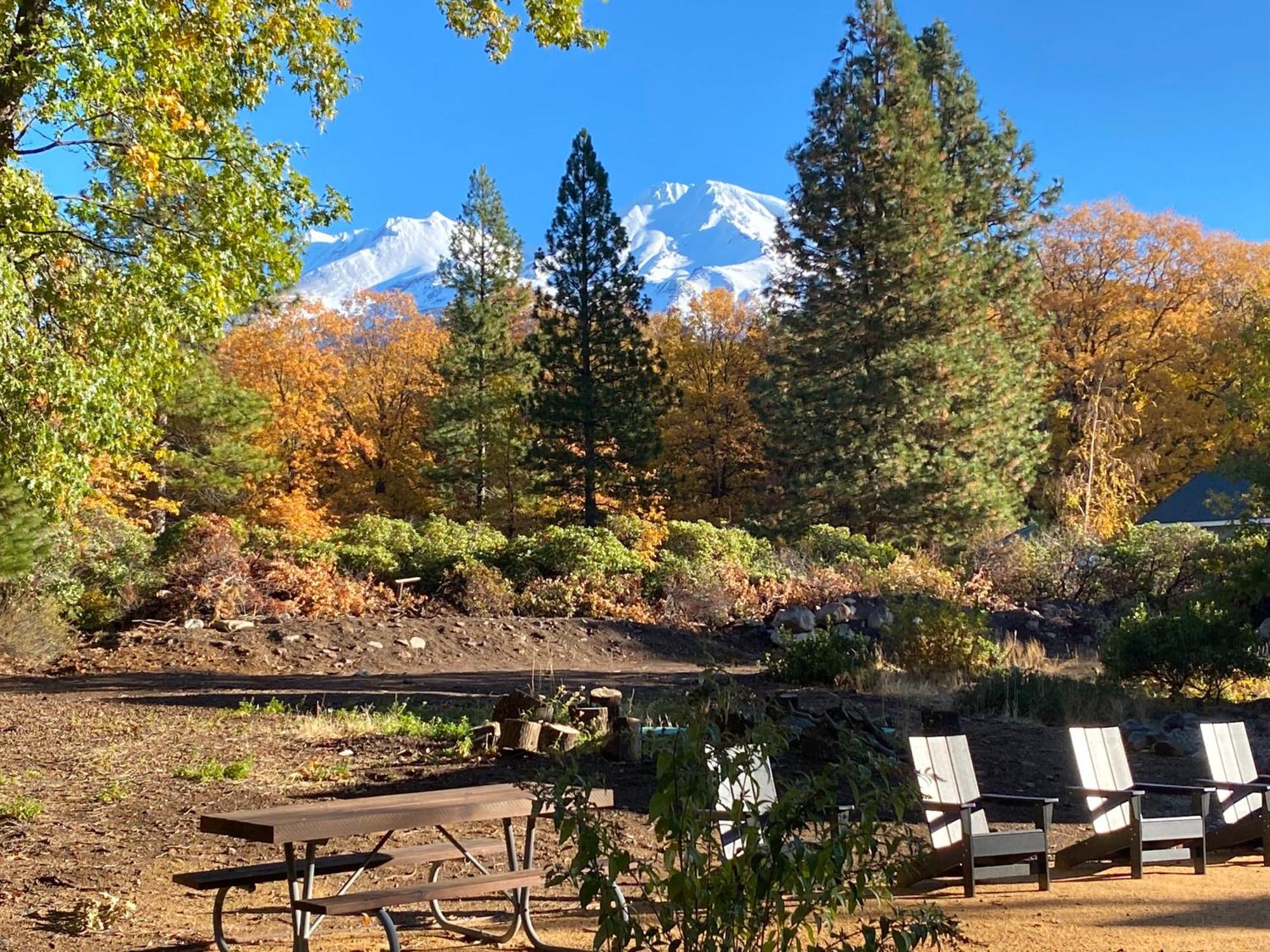 Hotel Basecamp